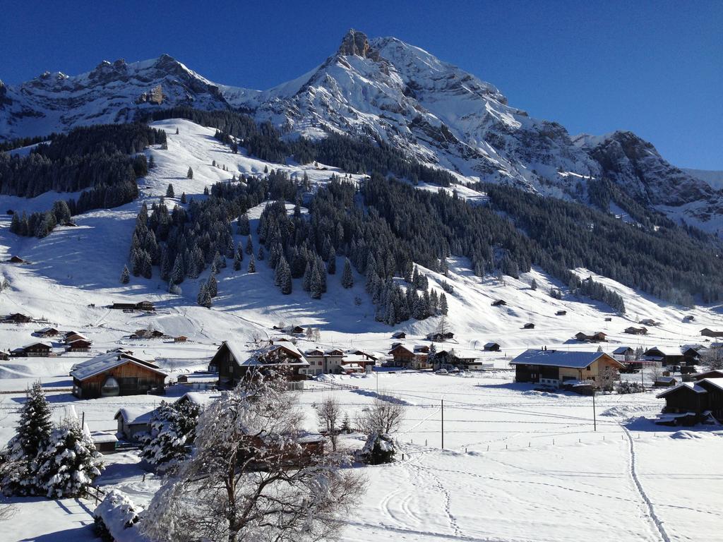 Chalet Butterfly Adelboden Pokój zdjęcie