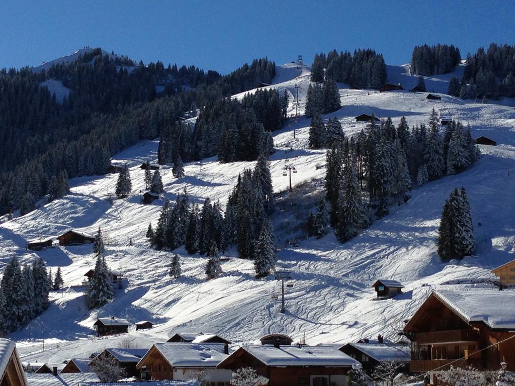Chalet Butterfly Adelboden Pokój zdjęcie