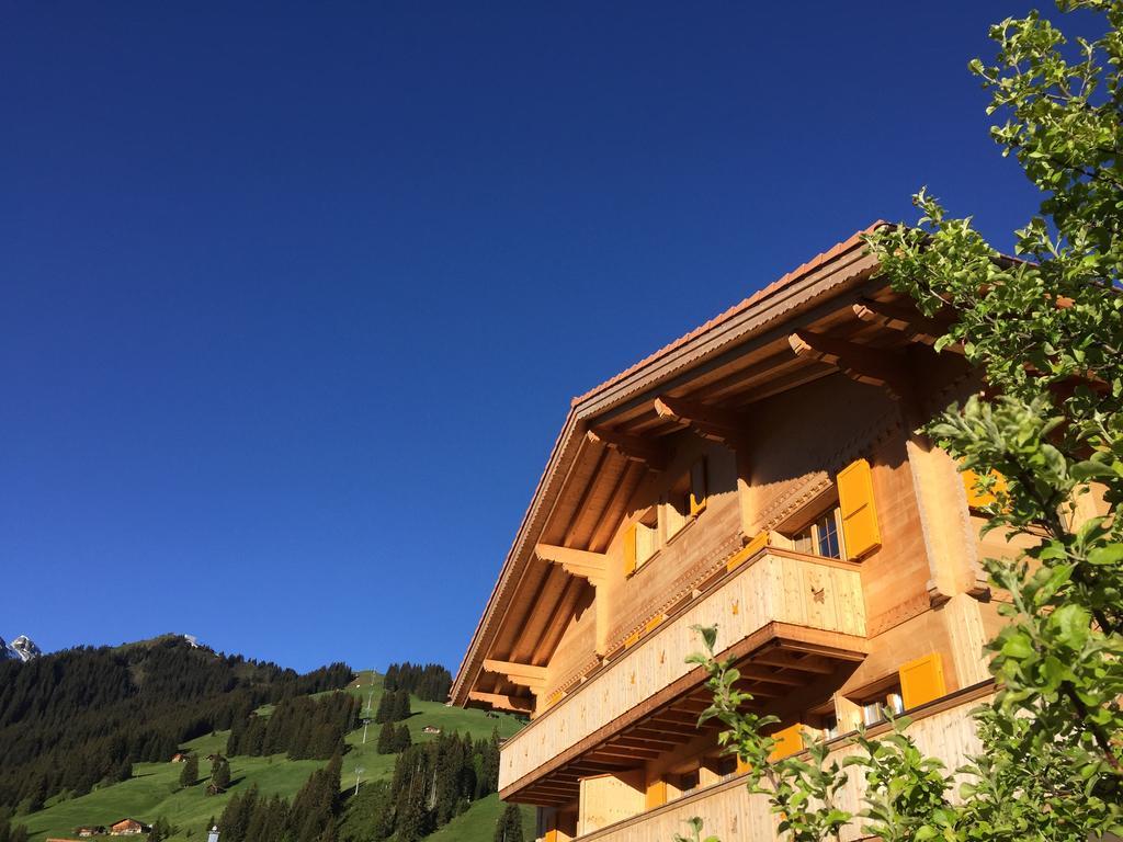 Chalet Butterfly Adelboden Zewnętrze zdjęcie